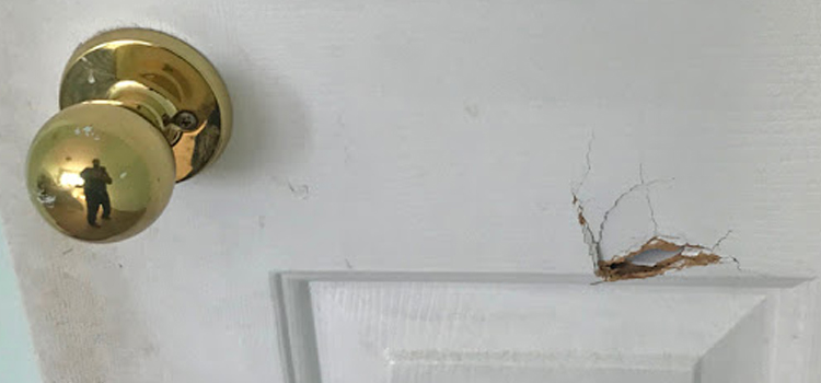 interior door hole repair Oroville